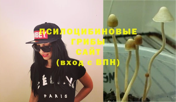 ПСИЛОЦИБИНОВЫЕ ГРИБЫ Липки
