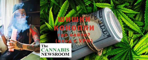 ПСИЛОЦИБИНОВЫЕ ГРИБЫ Липки