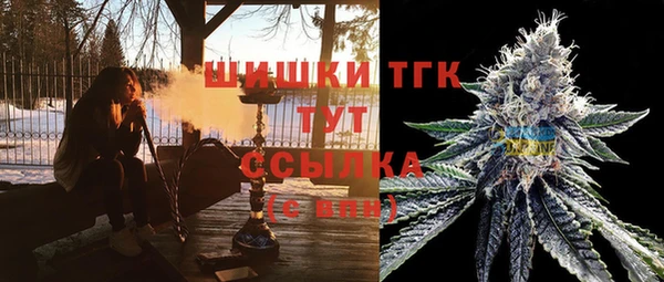 ПСИЛОЦИБИНОВЫЕ ГРИБЫ Липки