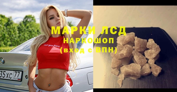ПСИЛОЦИБИНОВЫЕ ГРИБЫ Липки