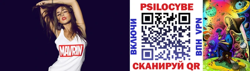 купить наркотик Магас Галлюциногенные грибы Psilocybe